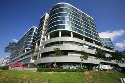 Oxley Bizhub (D14), Factory #602961851